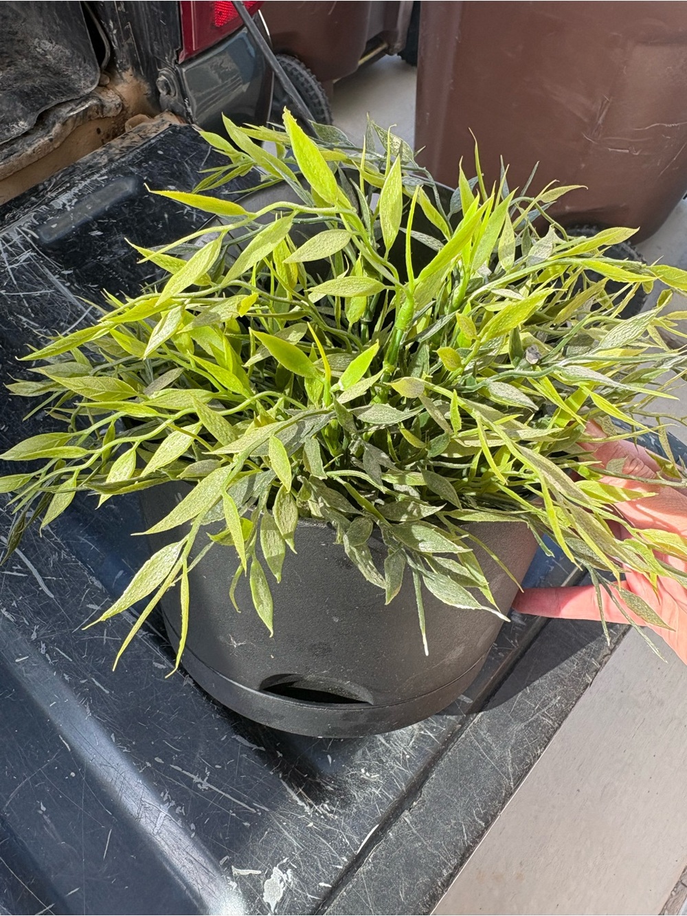 Lifelike Faux Green Leaf Potted Accent - Brand